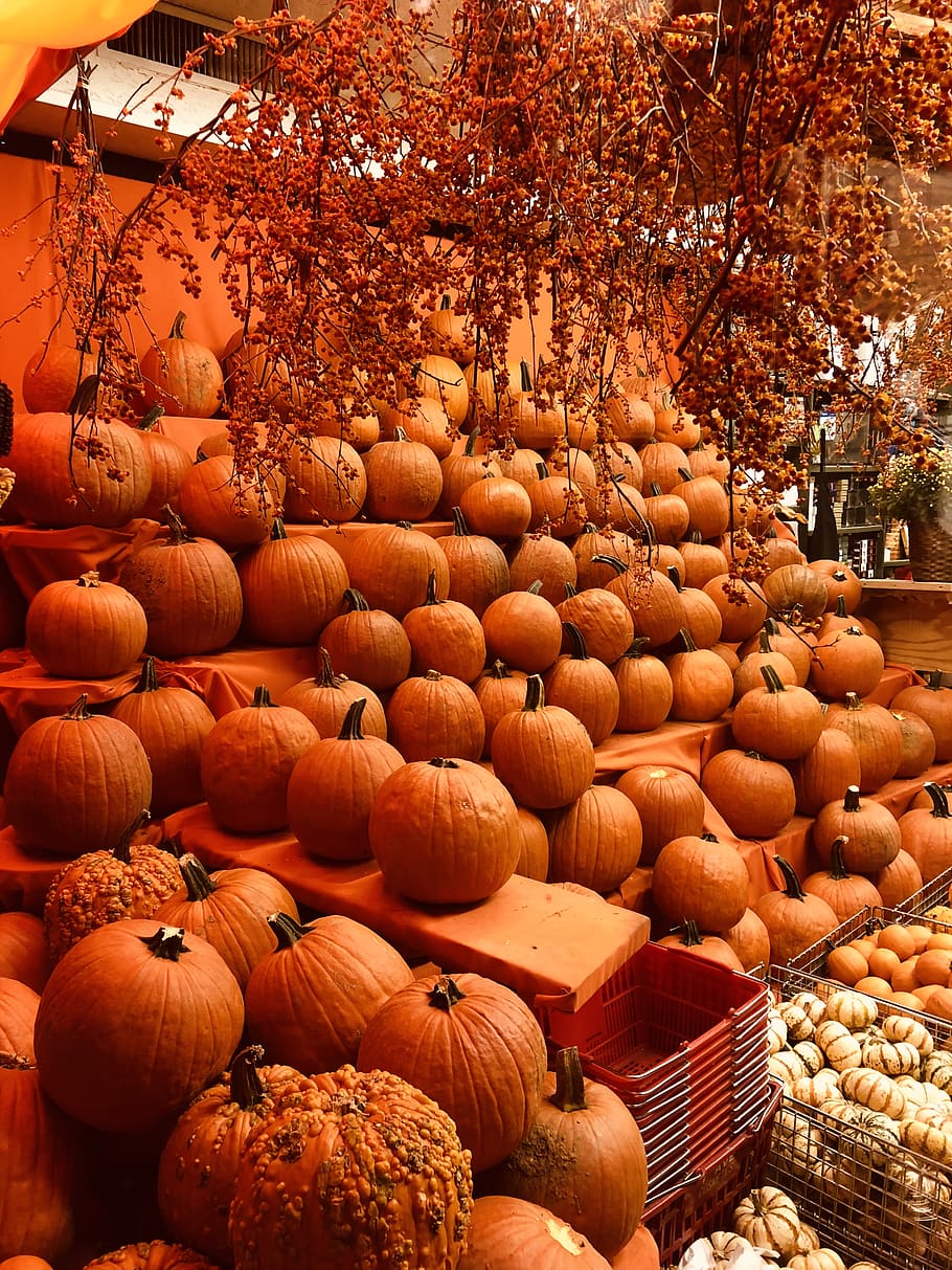 piled pumpkins, food and drink, large group of objects, choice HD wallpaper