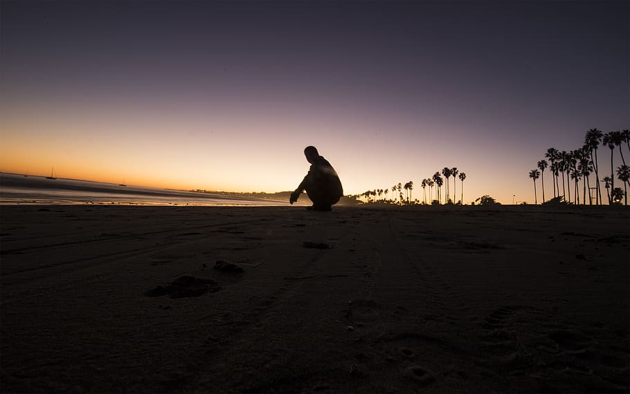 sunset, ca, santababala, america, shadow, tree, seaside, beach HD wallpaper