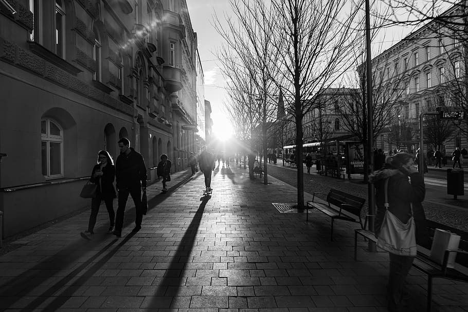 pedestrian, human, person, path, pavement, sidewalk, bench HD wallpaper