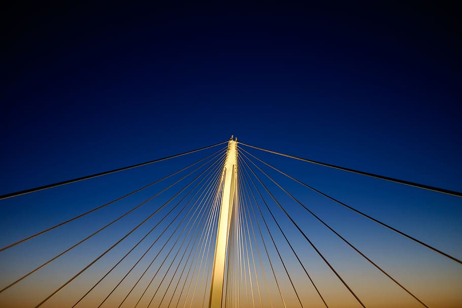 low angle photograph of cable bridge, sky, blue, sunset, sunrise