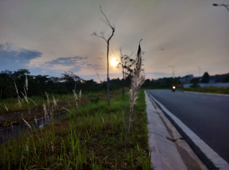 cloud, sunset, weather, sky, plant, road, transportation, nature HD wallpaper