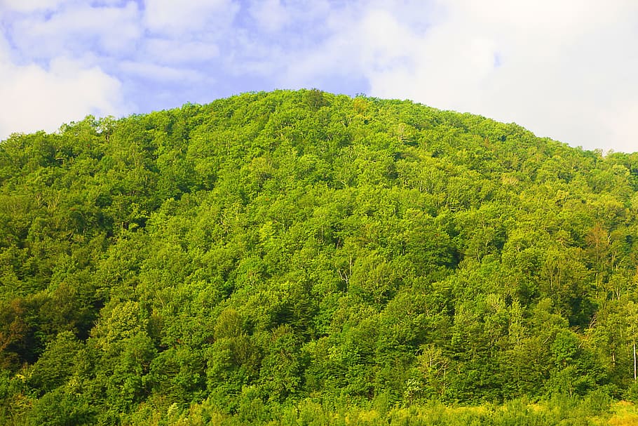 nature, outdoor, scene, scenery, scenic, sky, summer, tranquil HD wallpaper