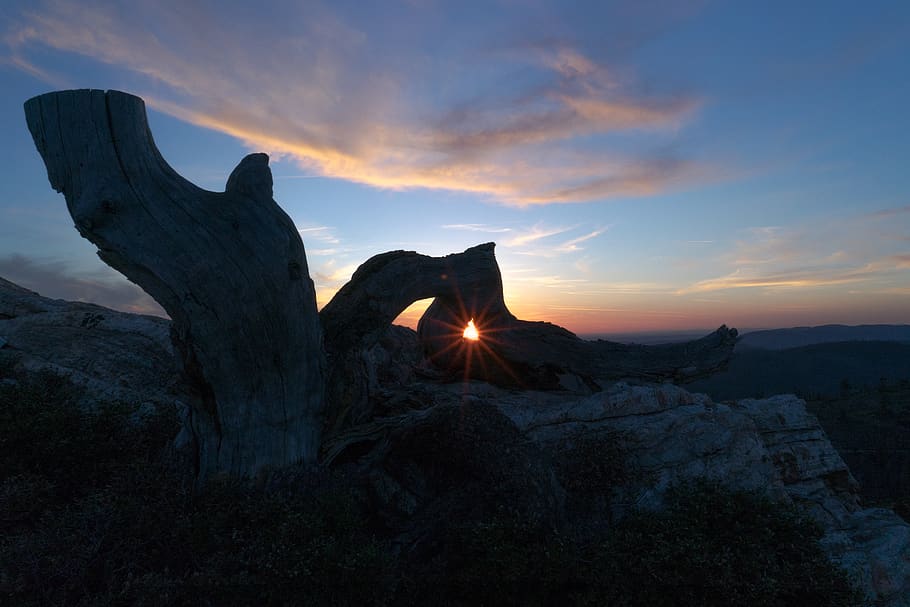 tree, sunset, forest, sky, beauty in nature, cloud - sky, rock HD wallpaper
