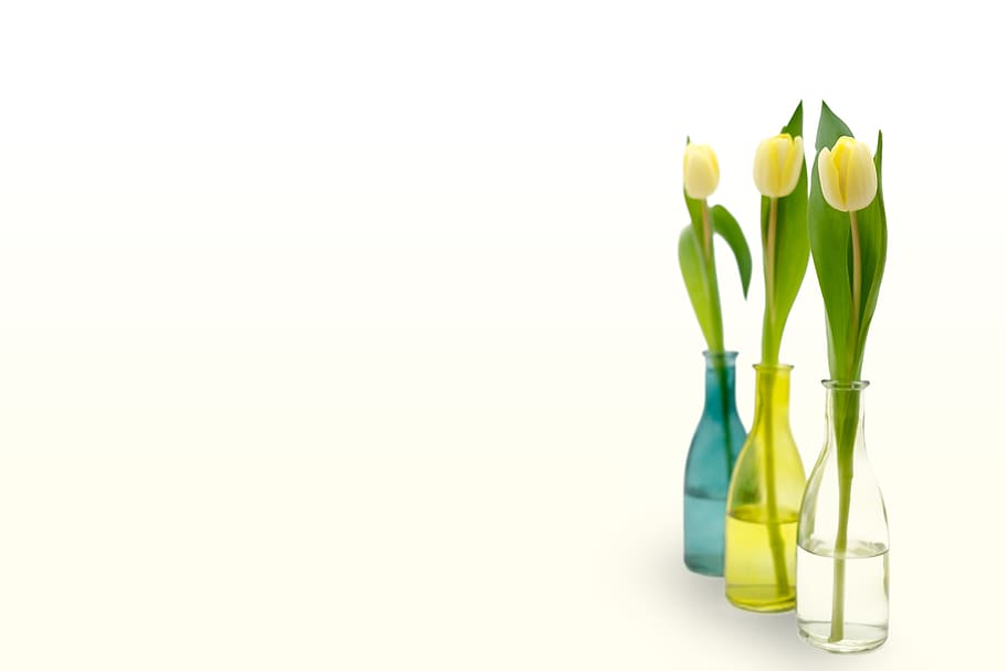 tulips, flowers, spring, easter, bottles, map, postcard, greeting card HD wallpaper