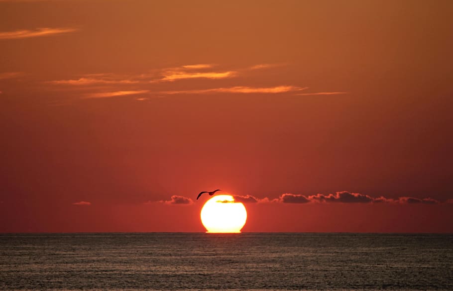 sunset, sea, immersion, abendstimmung, water, north sea, evening HD wallpaper
