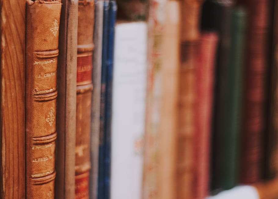 book on bookshelf, publication, no people, education, close-up HD wallpaper