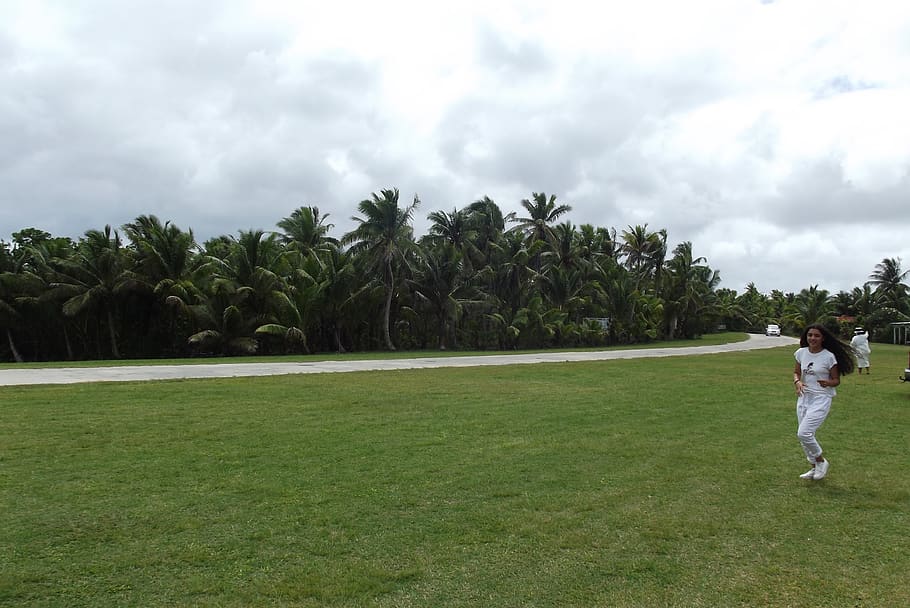 niue, plant, cloud - sky, tree, green color, grass, leisure activity HD wallpaper