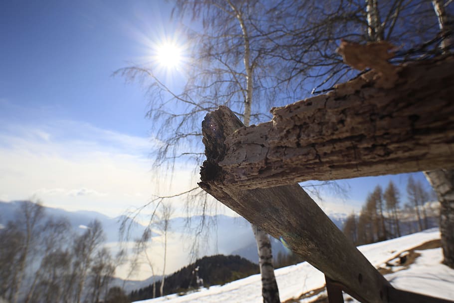 sun, nature, snow, mountain, light, landscape, campaign, trees HD wallpaper