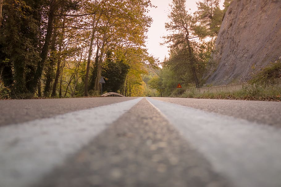 gray concrete road, tarmac, asphalt, tree, way, highway, greece HD wallpaper