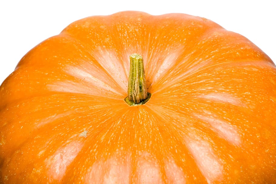 pumpkin, close-up, closeup, diet, dieting, eating, food, fresh HD wallpaper