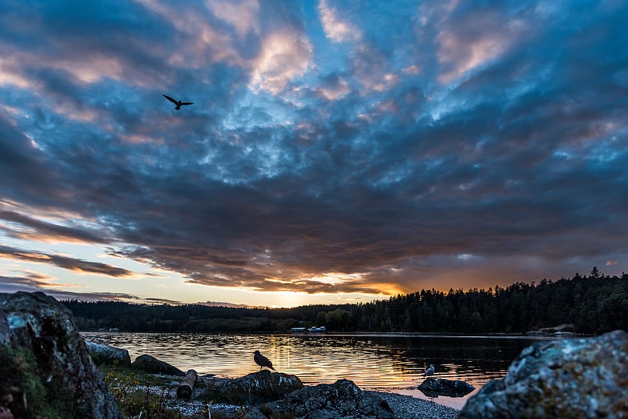 Photo Of Lake, clouds, dawn, scenic, sky, sunrise, sunset, water HD wallpaper