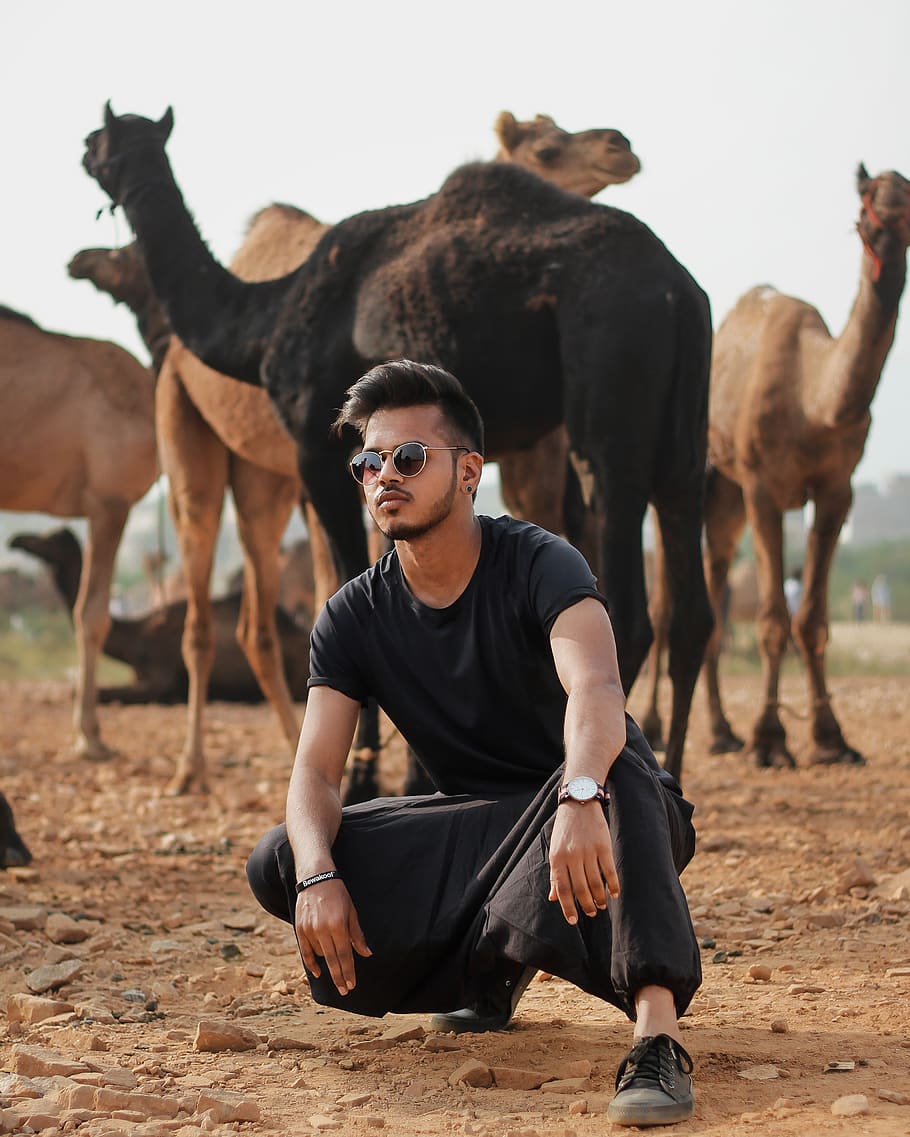 Man Wearing Black T-shirt, adult, Arabian camel, caravan, cattle, HD wallpaper
