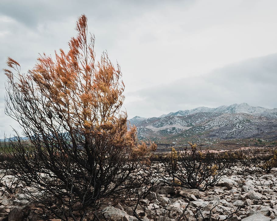 nature, trees, autumn, fall, hiking, velebit, mountains, sky HD wallpaper