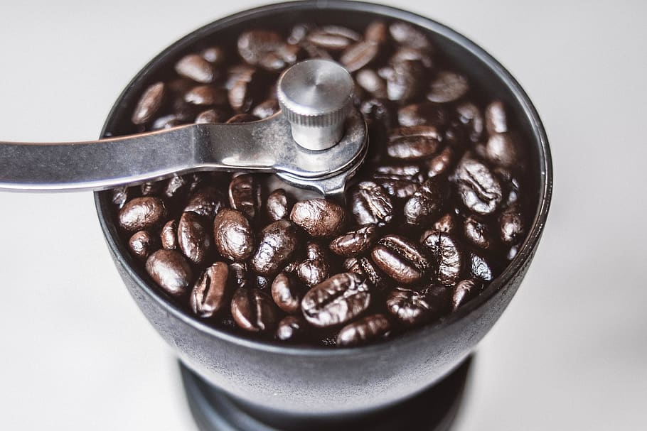 Coffee Beans in Coffee Grinder, brewing, caffeine, close-up, coffee shop HD wallpaper
