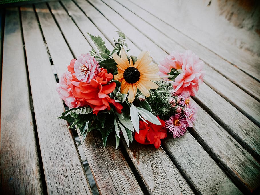 nature, flowers, flowering plant, freshness, wood - material HD wallpaper