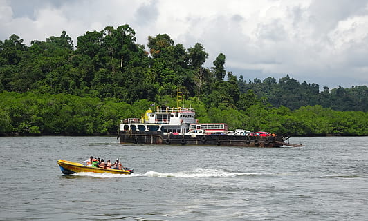 mangroves, forest, lush, greenery, creek, boat, barge, transport HD wallpaper