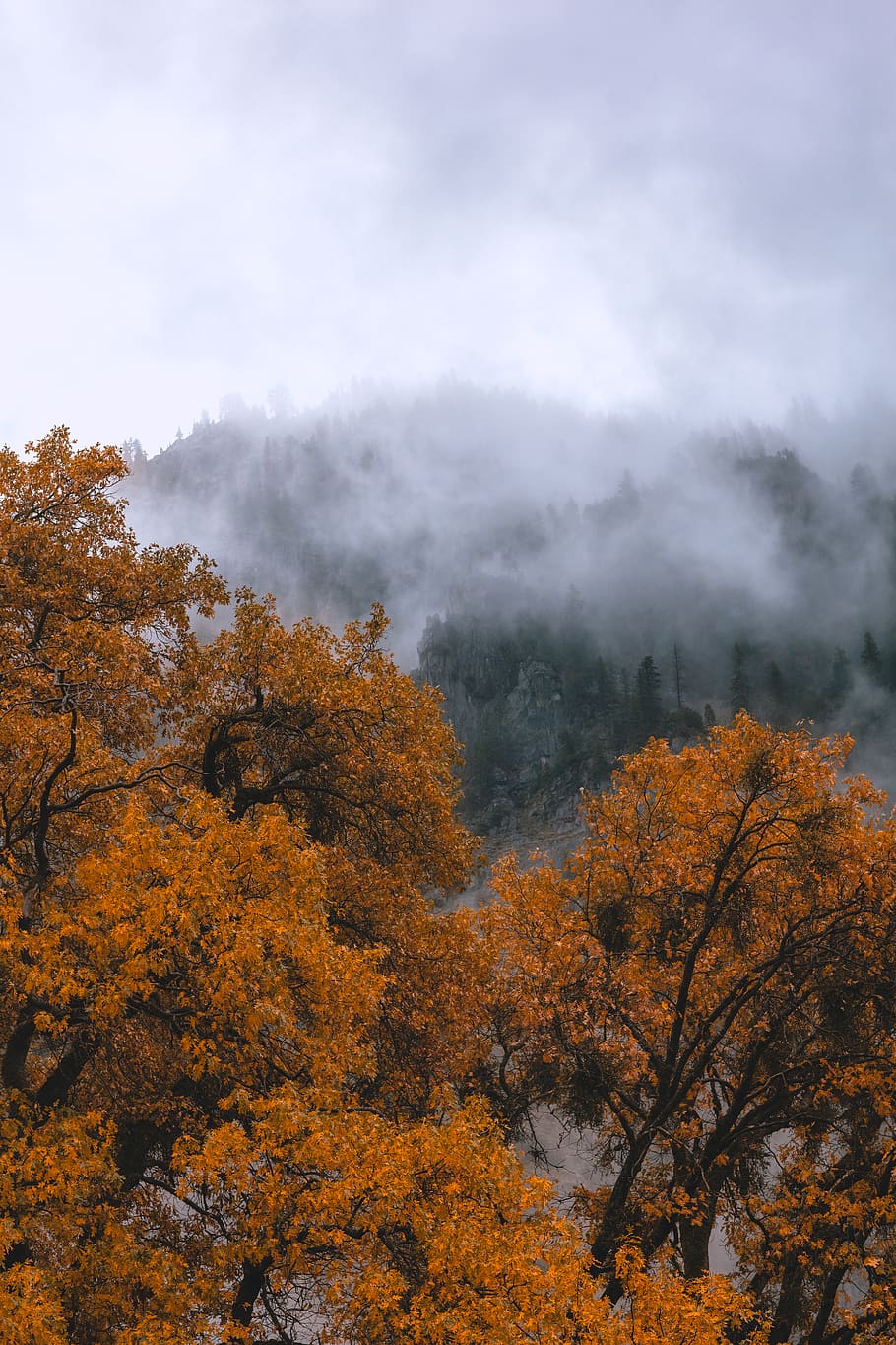 united states, yosemite valley, fall, autumn, california, national parks, HD wallpaper