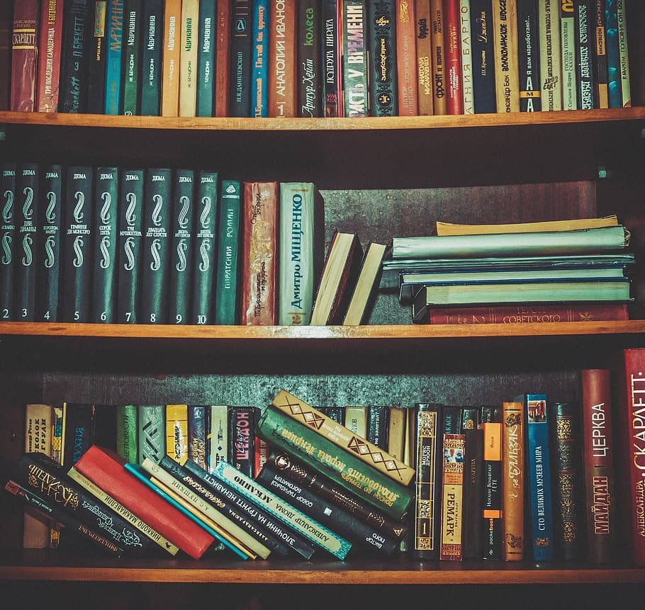 books, shelf, school, library, study, knowledge, education HD wallpaper