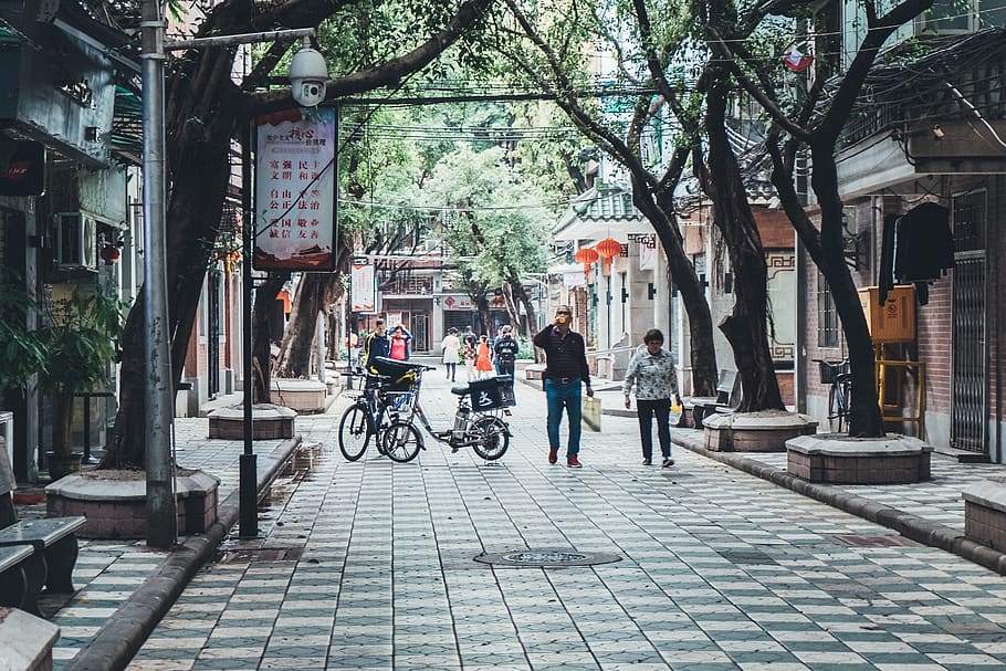 man standing beside bicycle, person, human, path, machine, wheel HD wallpaper