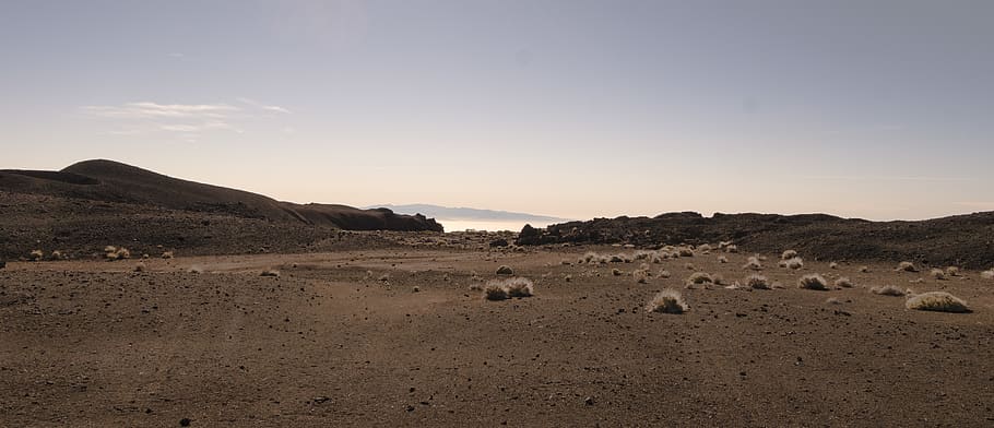 spain, tenerife, landscape, environment, mammal, sky, animal themes HD wallpaper