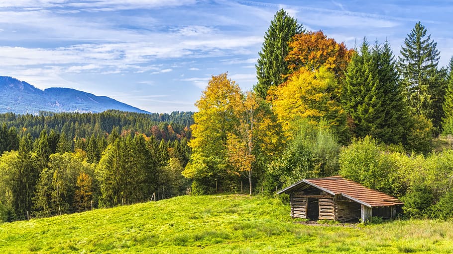Brown Wooden Cottage Near Forest, clouds, country, daylight, environment HD wallpaper