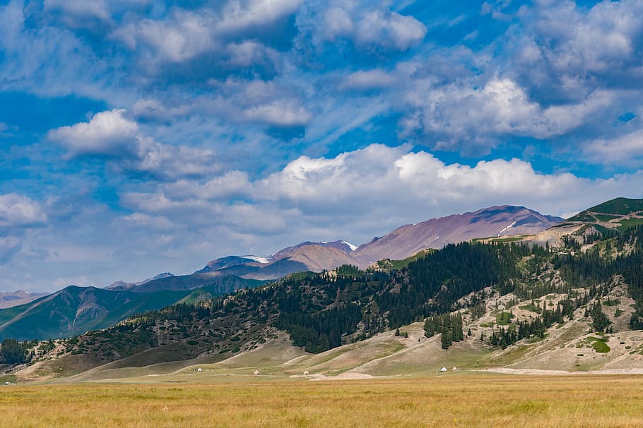 forest, sky, cloudy, mountain, cloud - sky, scenics - nature HD wallpaper