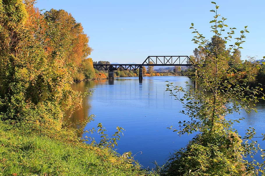 trees, autumn, fall, color, yellow, orange, river, water, reflection HD wallpaper