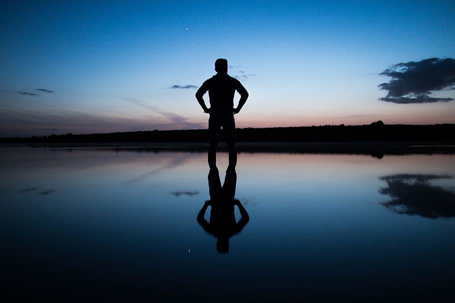 Peaceful Reflection of the Night, sky, star, tree, forest, woodland HD wallpaper