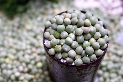 peas, green, bio, fresh, vegetables, food, healthy, diet, nutrition HD wallpaper