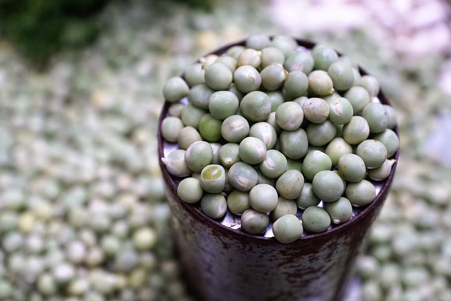 peas, green, bio, fresh, vegetables, food, healthy, diet, nutrition HD wallpaper