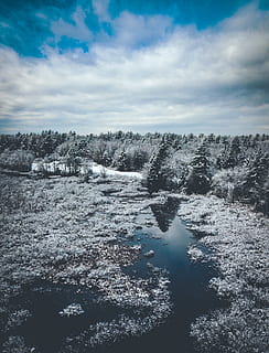 Landscape Photography of Trees Covered in Snow Near Water, cold HD wallpaper