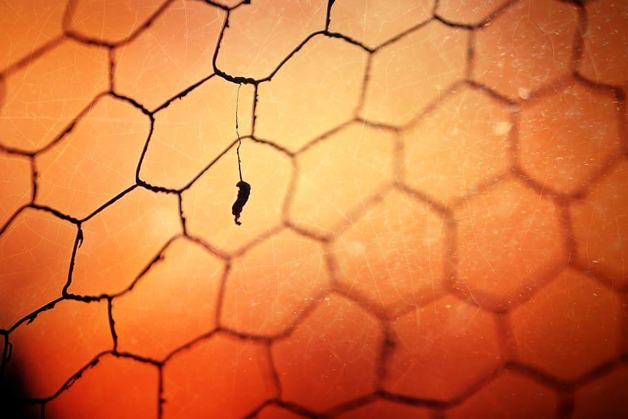 blur, bokeh, gate, fence, macro, leaf, autumn, yellow, orange HD wallpaper