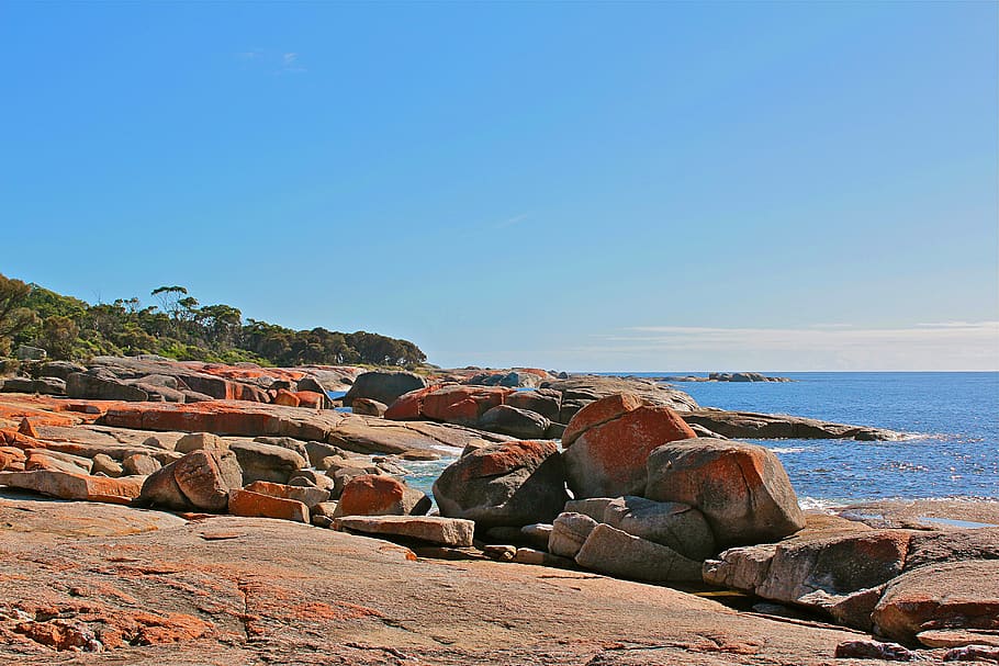 australia, tasmania, nature, beach, sky, coast, landscape, water, HD wallpaper