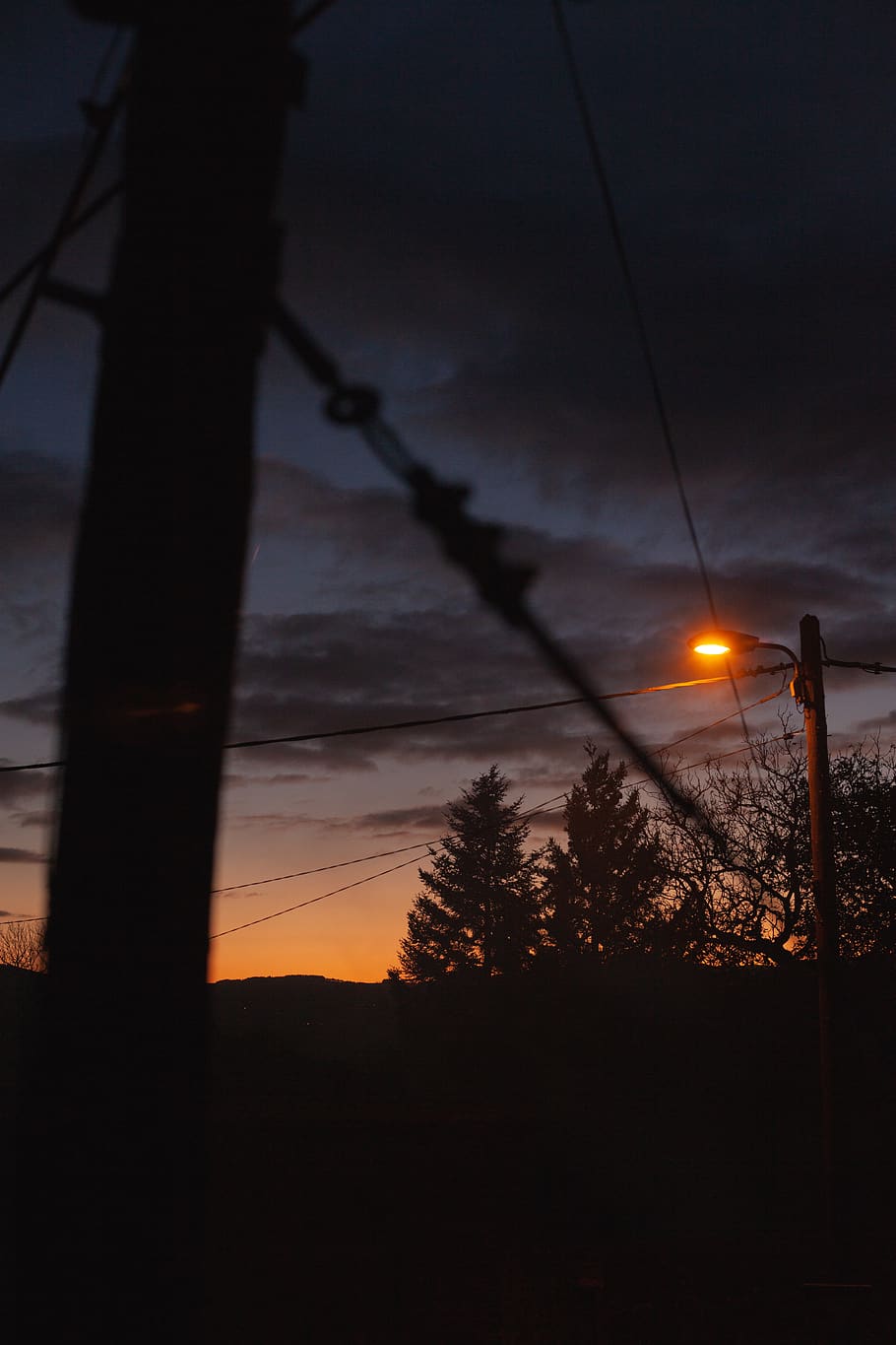 cable, tree, plant, dawn, sunset, nature, light, power lines