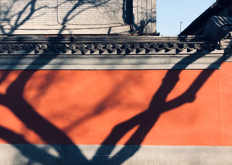 shadow, sunlight, architecture, built structure, nature, building exterior HD wallpaper
