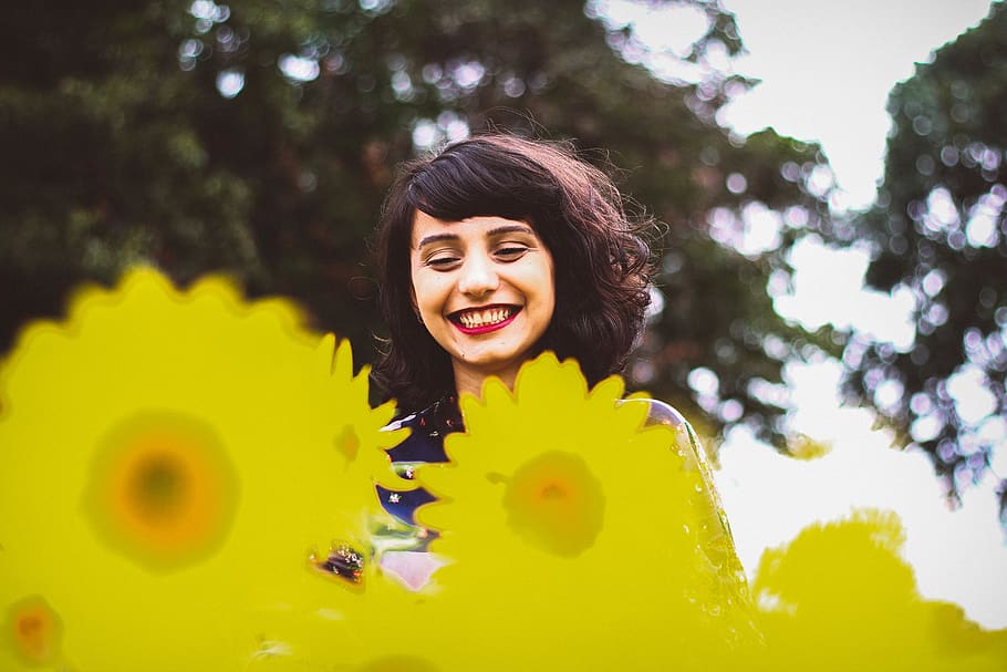 forest, trees, look, style, sunflower, field, life, natural HD wallpaper