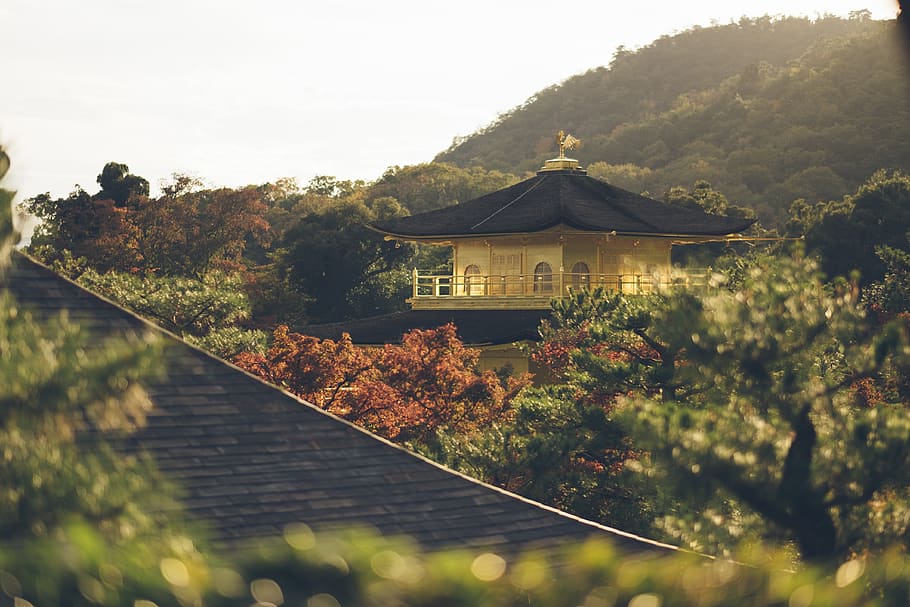 japan, kyoto, kinkaku-ji, sunset, trees, temple, gold, golden temple
