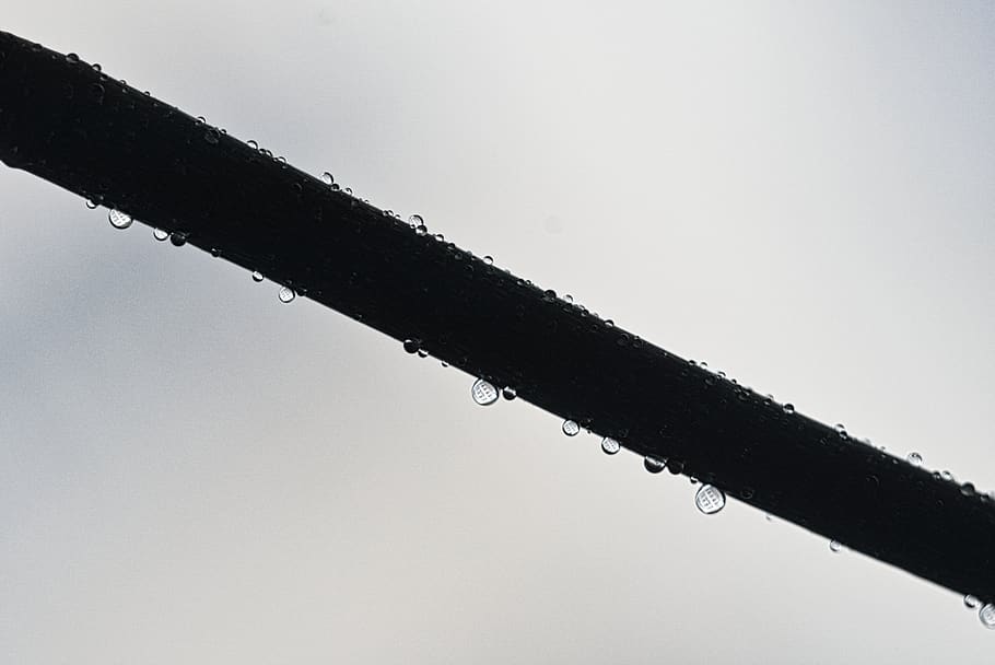 waterdrops, stem, no people, nature, sky, low angle view, outdoors HD wallpaper
