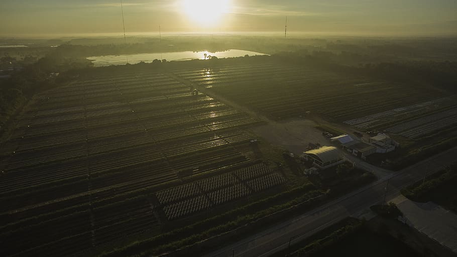 high angle view, environment, sunlight, agriculture, scenics - nature HD wallpaper