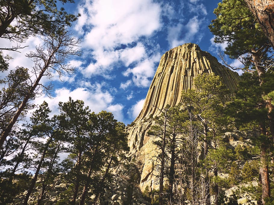 united states, devils tower, sky, trees, national park, monument HD wallpaper