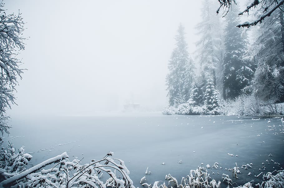 winter, ice, snow, nature, frost, icing, mountains, frozen HD wallpaper