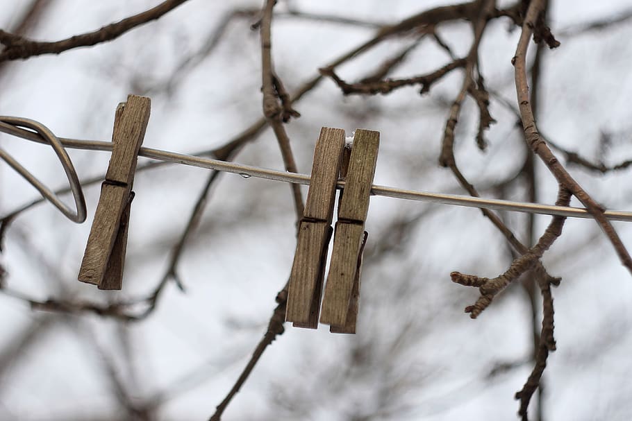 ukraine, clothespin, peg, winter, snow, nature, tree, no people HD wallpaper