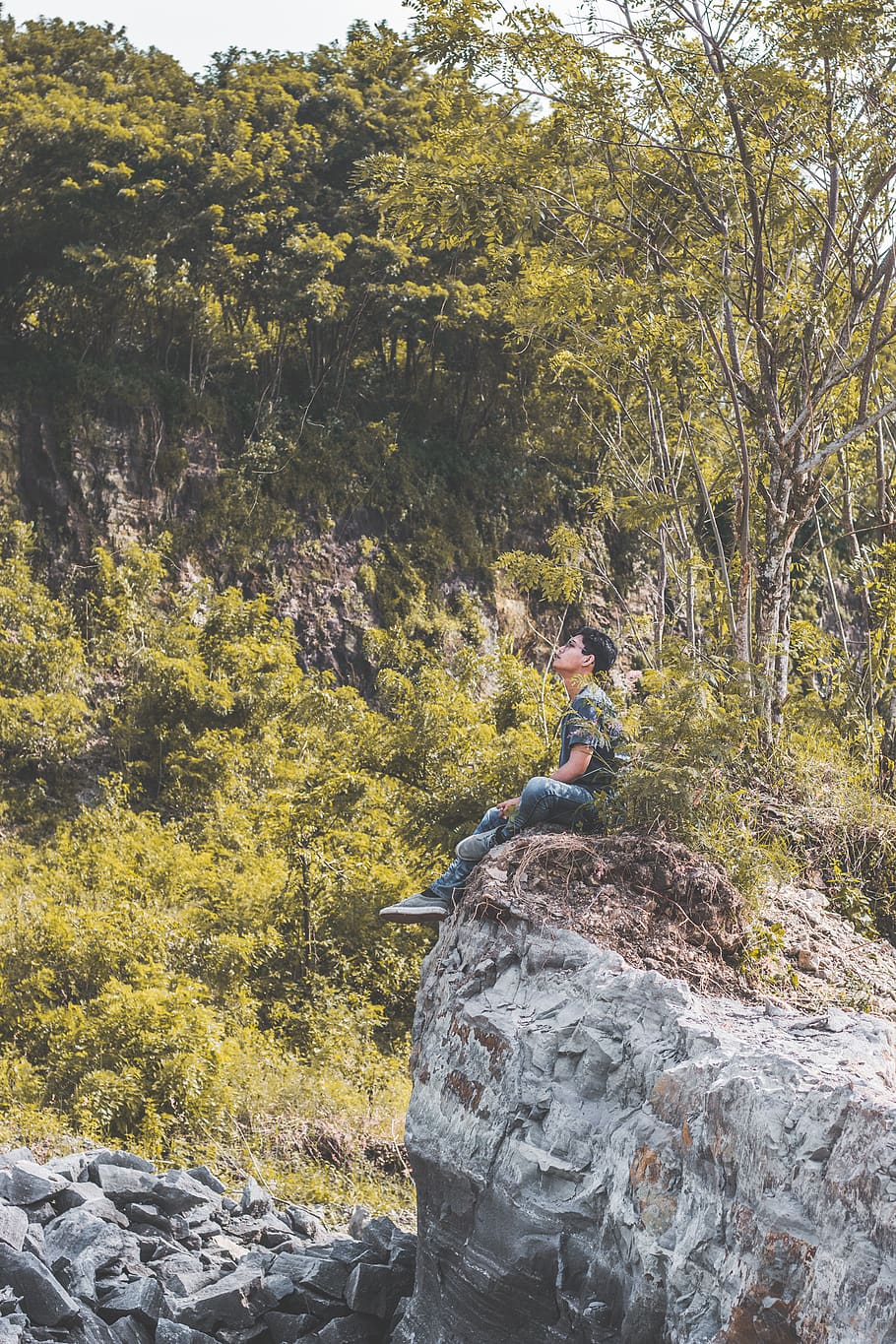 indonesia, yogyakarta, tree, trees, forest, person, myself HD wallpaper