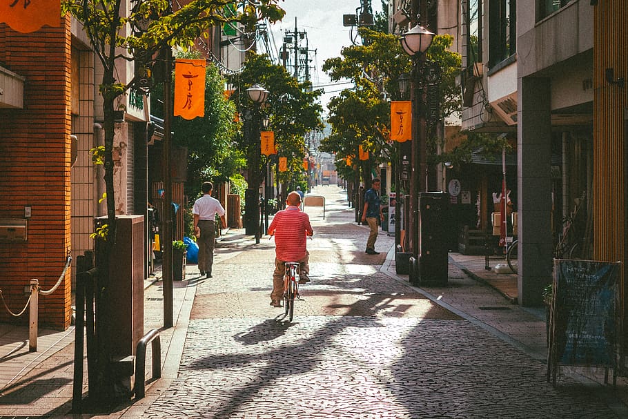path, walkway, person, human, bike, vehicle, transportation HD wallpaper