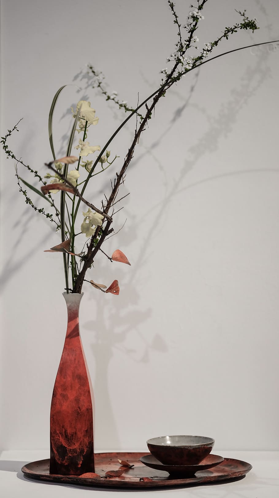 plant, vase, table, indoors, nature, flower, no people, flowering plant HD wallpaper