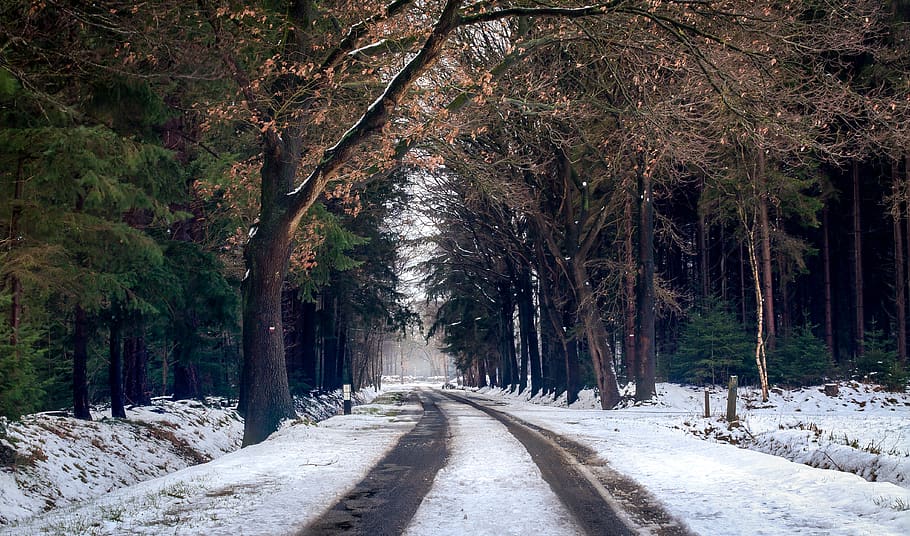 Photography of Road during Winter Season, cold, december, environment HD wallpaper