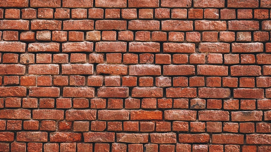 thom, more, brick, fresh, nature, flower, full frame, backgrounds HD wallpaper