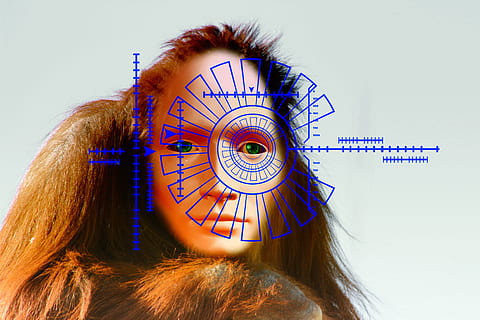 evolution, orangutan, monkey, human, robot, iris scanner, scanning HD wallpaper