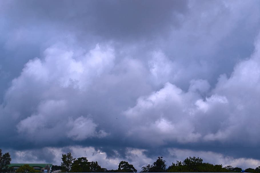 philippines, baguio, trees, clouds, cloud - sky, storm, beauty in nature HD wallpaper