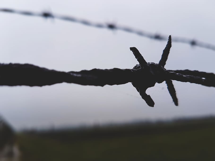 auschwitz, barbed wire, remember, never forget, fence, safety HD wallpaper